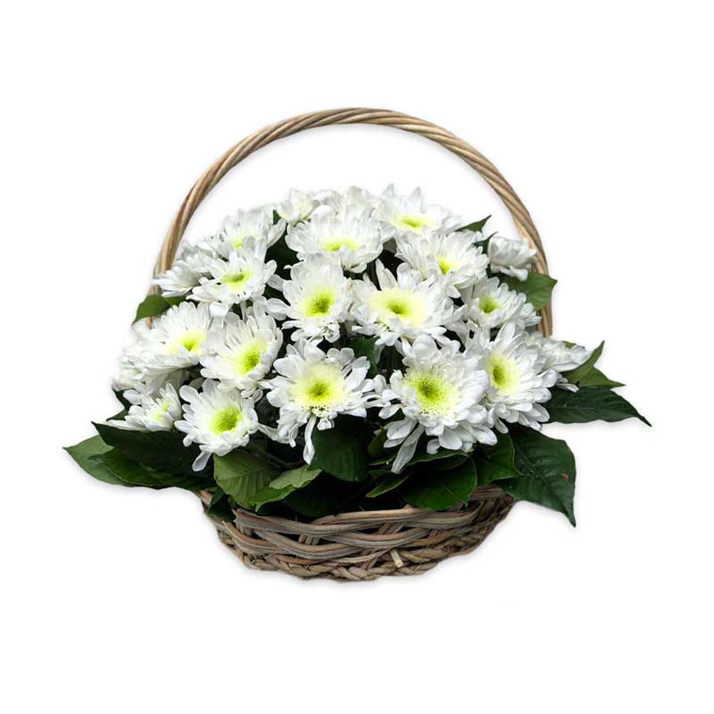 Express Fantasy Basket Arrangement: White Radus