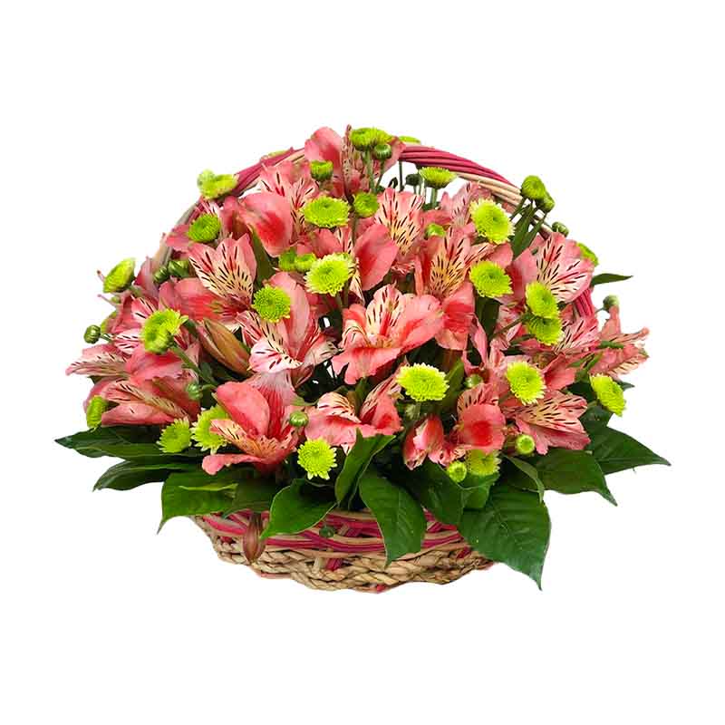 Thorough Fantasy Basket Arrangement: Pink Alstroemeria and Green Buttons Fillers