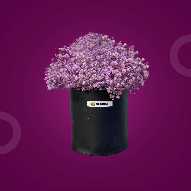 Glow Times Flower Box with three sets of purple painted baby’s breath in a sleek gift box