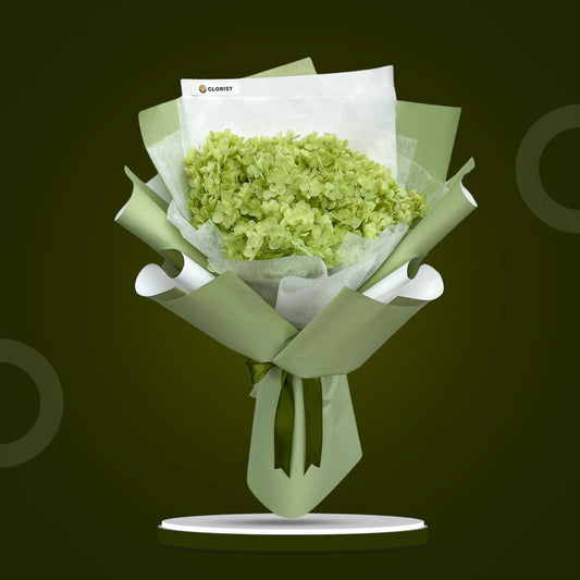 Moss Timeless dried bouquet with green hydrangea in matcha green and white wrap with dark olive ribbon