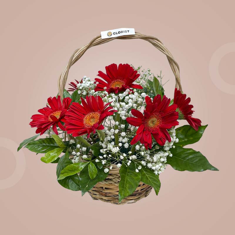 Vigorous Fantasy Flower Basket with 10 red gerbera, baby’s breath, and Rosal leaves