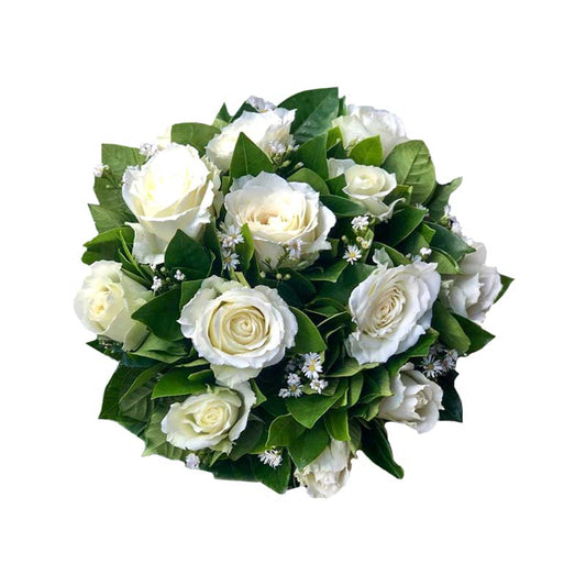 Exquisite bridal bouquet featuring a stunning arrangement of 12 pristine white roses complemented by delicate aster fillers. A captivating and elegant bridal bouquet design for weddings, exuding beauty and sophistication.