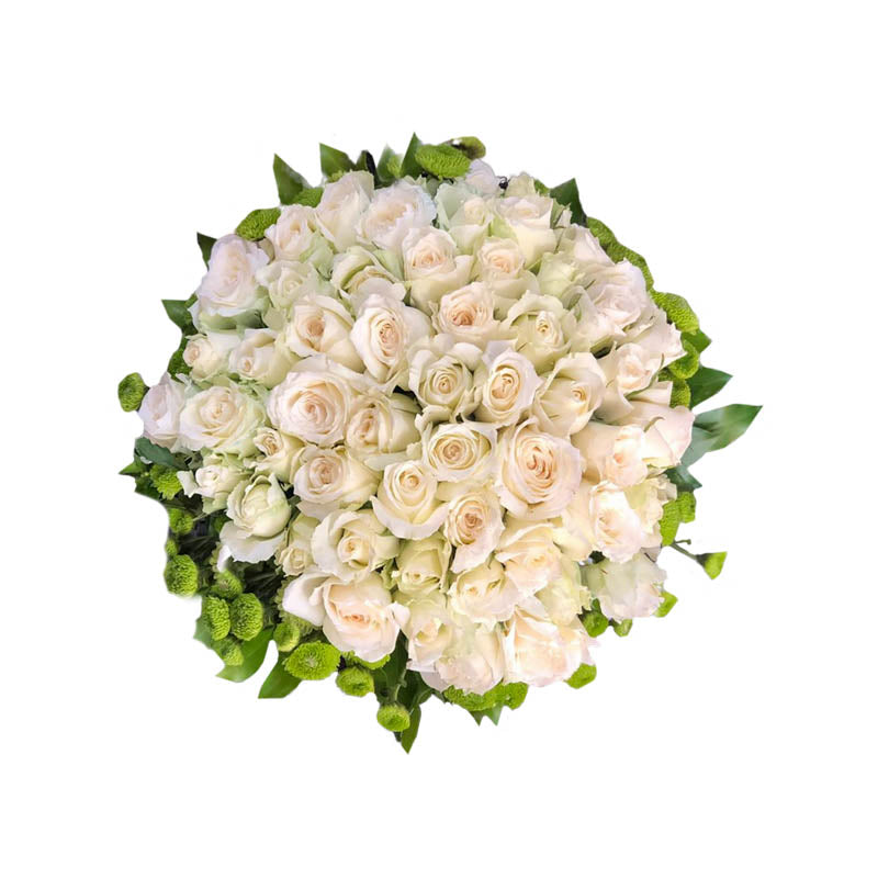 Elegant Bridal Bouquet: 4 Dozen White Korean Roses with Pompon Button Fillers. Make your special day even more enchanting with this exquisite bridal bouquet. It features a stunning arrangement of 4 dozen white Korean roses, symbolizing purity and love, complemented by delicate pompon button fillers. The bouquet exudes elegance and grace, perfect for completing your bridal ensemble. Let the timeless beauty of these roses enhance the joy and romance of your wedding day.