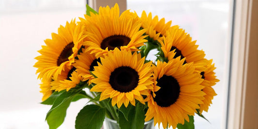 Sunflower Bouquet