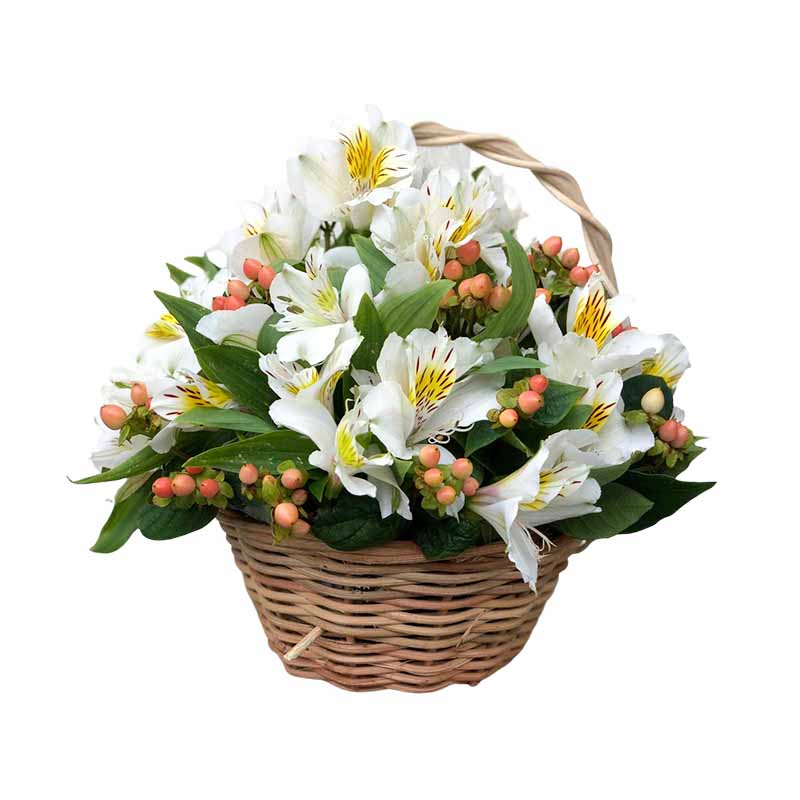 Direct Fantasy Basket Arrangement: White Alstroemeria with Hypericum Berries