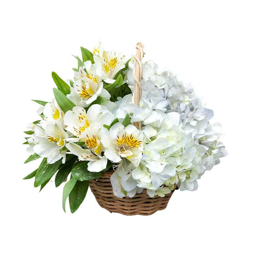 Dual Fantasy Basket Arrangement: White Alstroemeria and Hydrangea