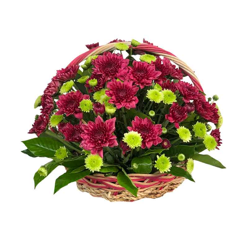 Merry Fantasy Basket Arrangement: Jaguar Flower and Green Button Fillers