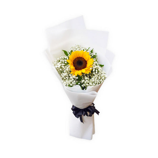 Captivating sunflower: A single sunflower embraced by delicate Gypsophila fillers, wrapped in a Korean style with a satin ribbon, exuding natural beauty.