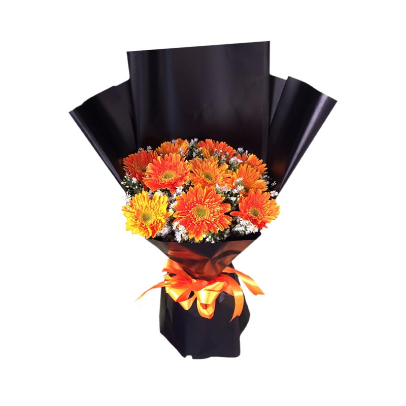 10 Orange Gerberas Bouquet with Aster Fillers - Vibrant Blooms in a Korean Wrap with Satin Ribbon