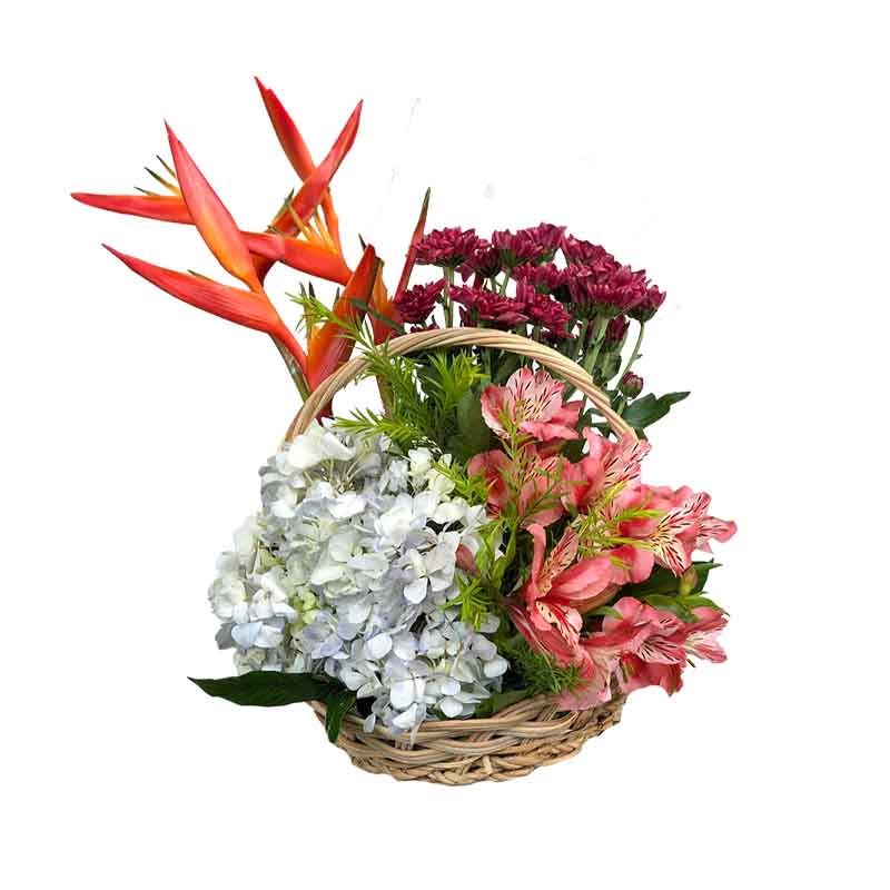 Kosher Fantasy Basket Arrangement:  Hydrangea, Alstroemeria, and Jaguar Flowers