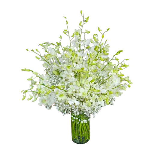 Fresh white orchids, elegantly arranged in a clear glass vase for a touch of timeless beauty and sophistication.