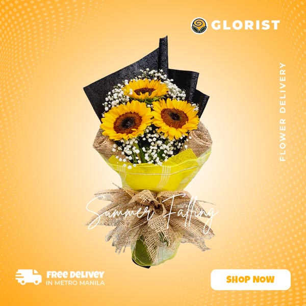 Sunny trio: Bouquet featuring 3 sunflowers, delicate Gypsophila fillers, wrapped in tissue paper, burlap, and net for a rustic touch of charm.