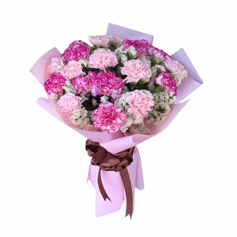 Well Radiance: A captivating arrangement featuring 10 delicate light pink carnations, 10 vibrant two-toned violet carnations, and complemented by statice fillers, creating a beautiful display of colors and textures.