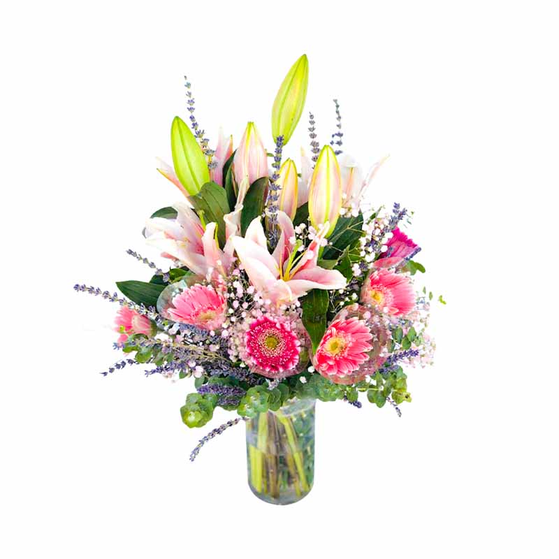 Captivating vase arrangement with 3 fragrant stargazer lilies, delicate light pink gerbera daisies, and accents of lavender and eucalyptus fillers. A wise ensemble of beauty, artfully arranged in a glass vase.