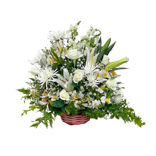Fit Fantasy Basket Arrangement: White Chrysanthemum, Stargazer, White Rose, Alstroemeria, Snap Dragon, and Green Fillers
