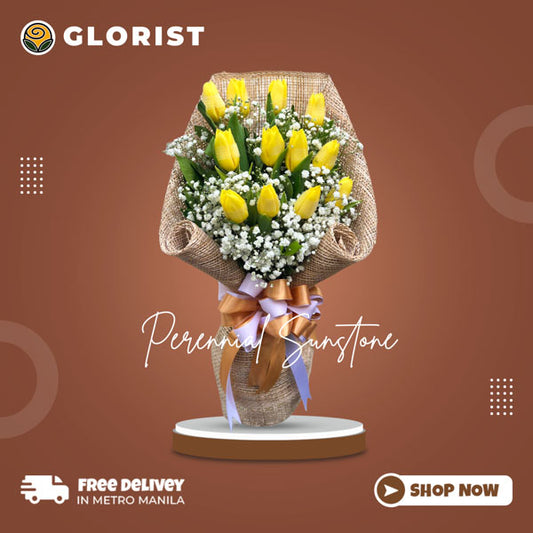 Graceful bouquet: 12 yellow tulips with gypsophila fillers. Beautifully presented in a Korean wrap, adorned with a satin ribbon.