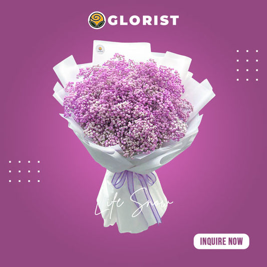 Delightful bouquet: Purple gypsophila delicately painted, arranged in a charming Korean-style wrap. Adorned with a lovely satin ribbon.