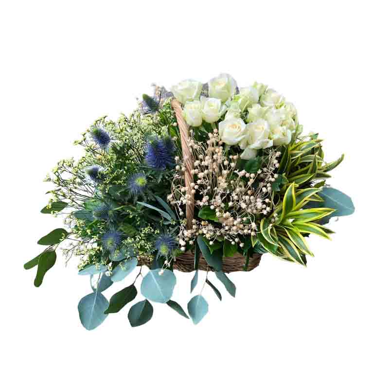 Mesmerizing Floral Ensemble: A captivating 15"x12" arrangement featuring the enchanting beauty of Stargazer lilies, vibrant carnations, and delicate Parvi fillers. This stunning ensemble adds a touch of mesmerizing allure to any space or occasion. Elevate your floral experience and indulge in the beauty of these exquisite blooms today!