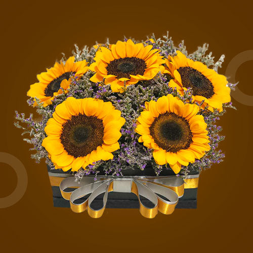 Sunset Times Box Arrangement featuring six sunflowers and misty blue fillers in an elegant box, capturing the warmth and beauty of a sunset.