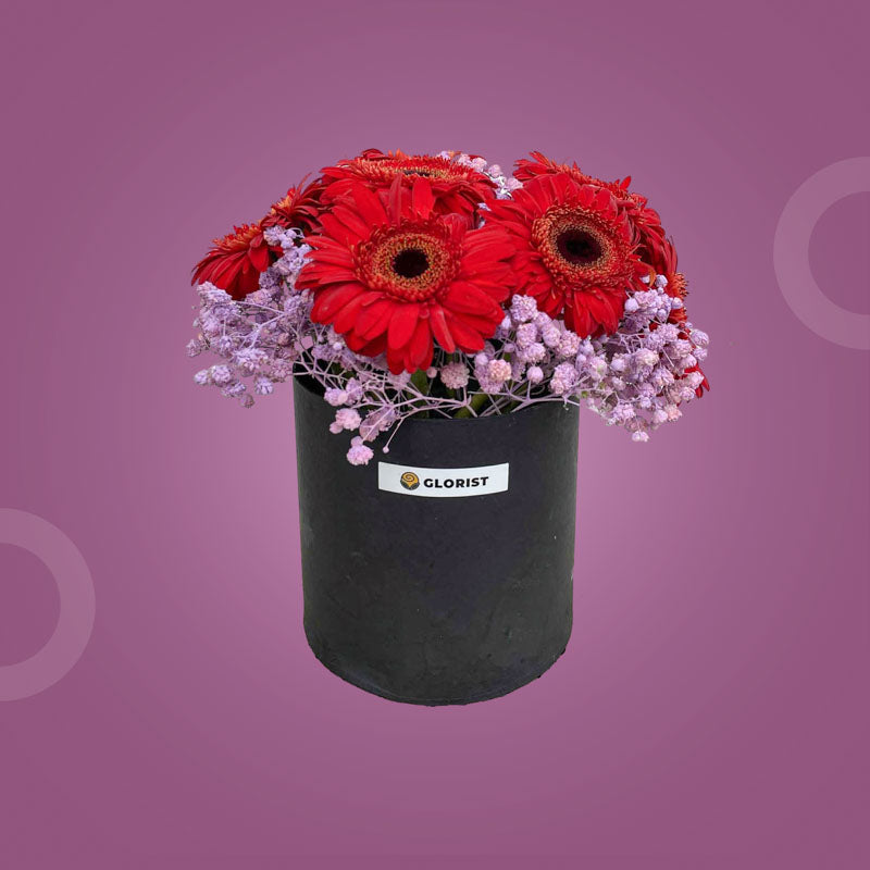 Hopeful Times Flower Box with red gerbera daisies and purple-painted baby’s breath in a matte gift box