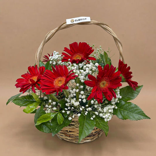 Red gerbera daisies with gypsophila baby's breath and rosal leaves in a reusable basket, a vibrant birthday and celebration gift with same-day Metro Manila delivery