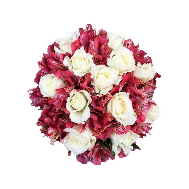 A stunning bridal bouquet showcasing a dozen elegant white roses complemented by enchanting astro fillers. This beautiful arrangement exudes grace and charm, creating a captivating centerpiece for your wedding day. Embrace the purity and romance of this exquisite bouquet, symbolizing love and unity.