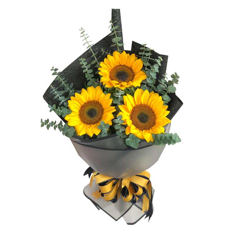 Radiant sunflower trio with Eucalyptus leaves: Korean wrapped bouquet adorned with a border, tissue wrap, and a satin ribbon, exuding natural beauty.