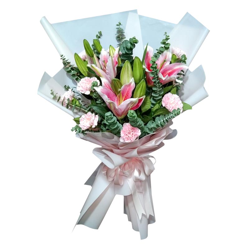 A stunning bouquet featuring three beautiful Stargazer lilies and a dozen vibrant carnations, complemented by fresh and fragrant eucalyptus leaves. This exquisite arrangement is expertly wrapped in a Korean-style wrap, adorned with a luxurious satin ribbon. Celebrate any occasion with this enchanting bouquet of flowers, designed to impress and delight.
