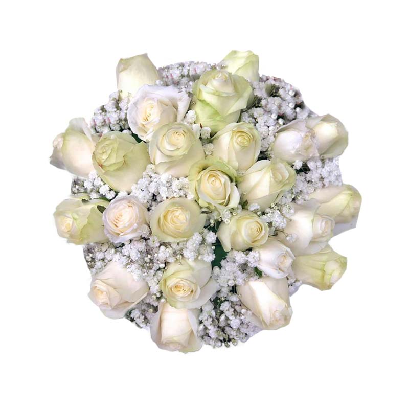 Bridal Bouquet: 2 Dozen Korean Roses with Gypsophila Fillers - Elegant and romantic floral arrangement for your special day.