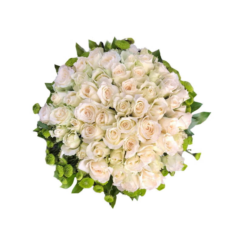 Elegant Bridal Bouquet: 4 Dozen White Korean Roses with Pompon Button Fillers. Make your special day even more enchanting with this exquisite bridal bouquet. It features a stunning arrangement of 4 dozen white Korean roses, symbolizing purity and love, complemented by delicate pompon button fillers. The bouquet exudes elegance and grace, perfect for completing your bridal ensemble. Let the timeless beauty of these roses enhance the joy and romance of your wedding day.